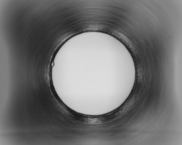 X0000096150794200802151353