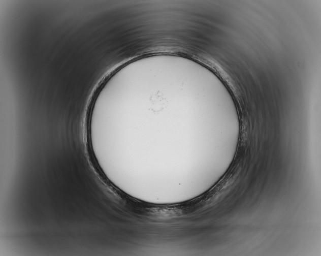 X0000096150795200802151353