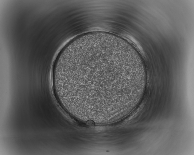 X0000096150796200802151353