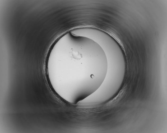 X0000096150797200802151353