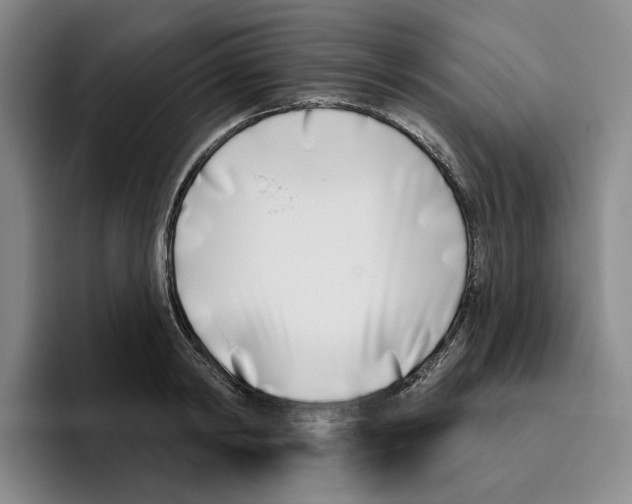 X0000096150798200802151353