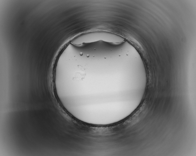 X0000096150800200802151353