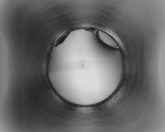 X0000096150801200802151353