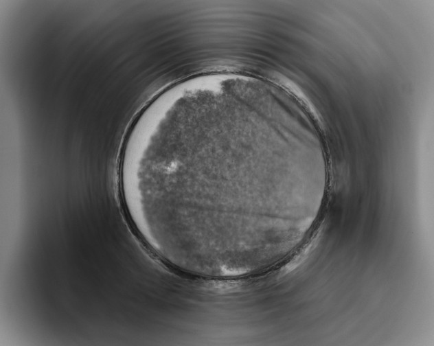 X0000096150802200802151353