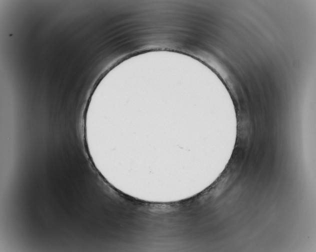 X0000096150807200802151353