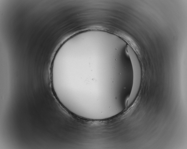 X0000096150808200802151353