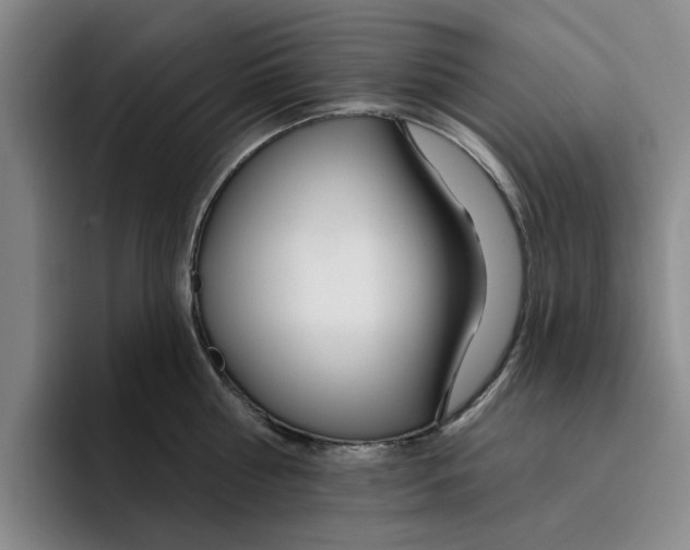 X0000096150810200802151353