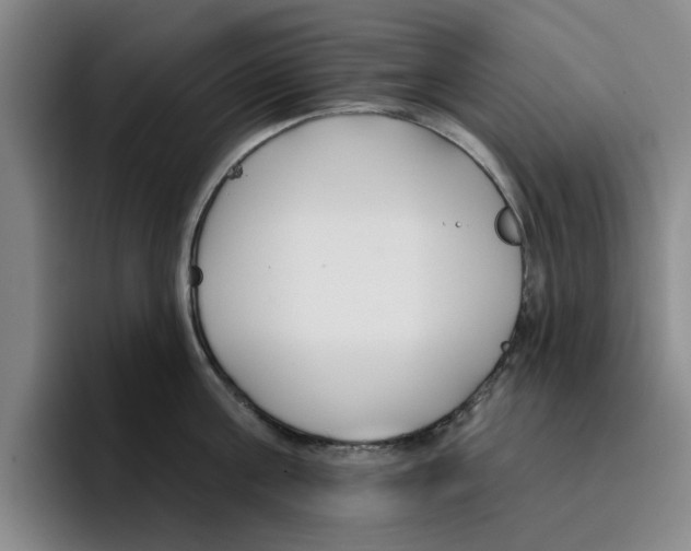 X0000096150811200802151353