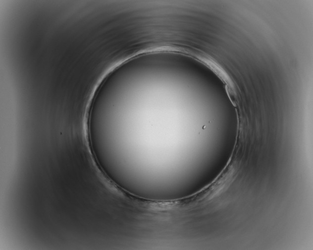 X0000096150813200802151353