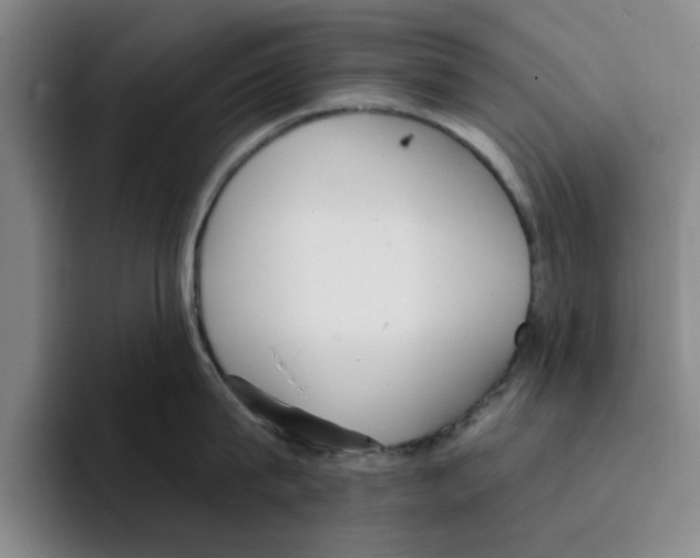 X0000096150815200802151353