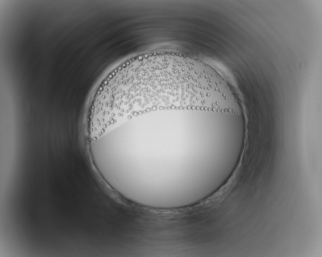 X0000096150816200802151353