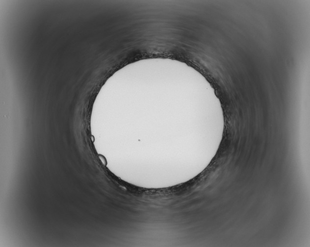 X0000096150817200802151352