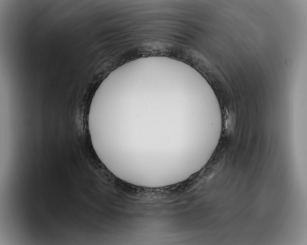 X0000096150819200802151352