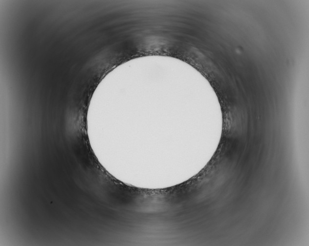 X0000096150820200802151352