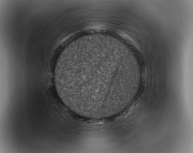 X0000096150822200802151352