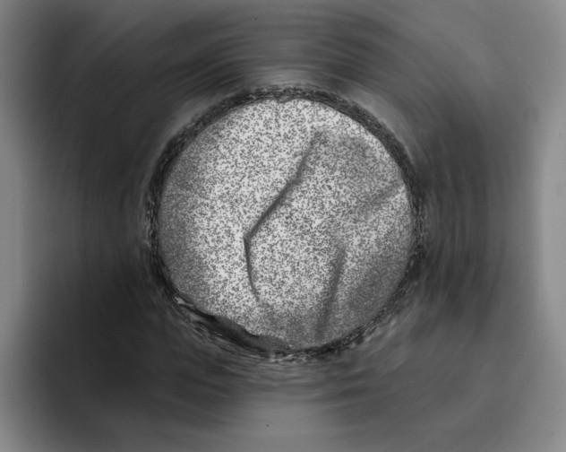 X0000096150823200802151352