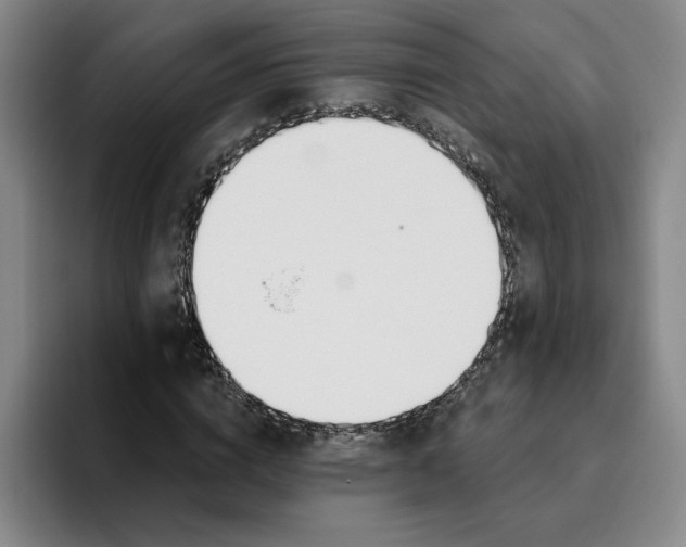 X0000096150824200802151352