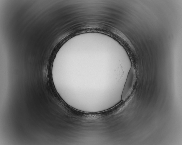 X0000096150826200802151352