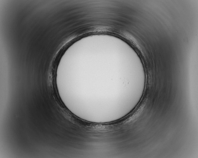 X0000096150827200802151352