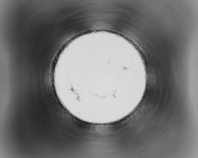 X0000096150832200802151352