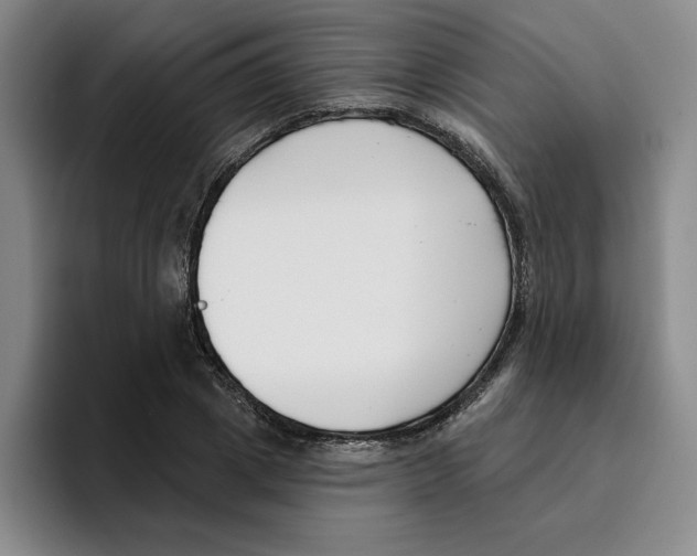 X0000096150833200802151352