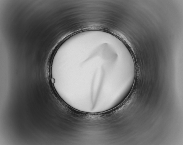 X0000096150835200802151352