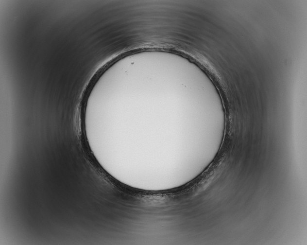 X0000096150838200802151352