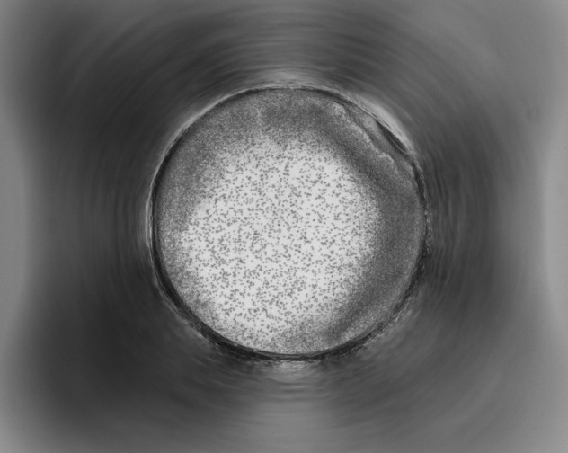 X0000096150839200802151352