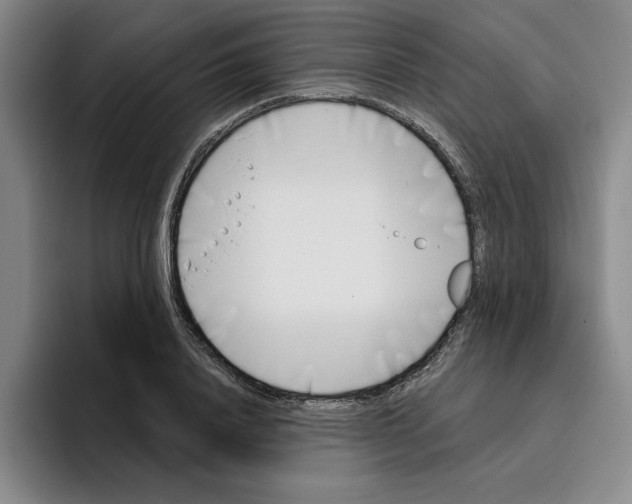 X0000096150840200802151352