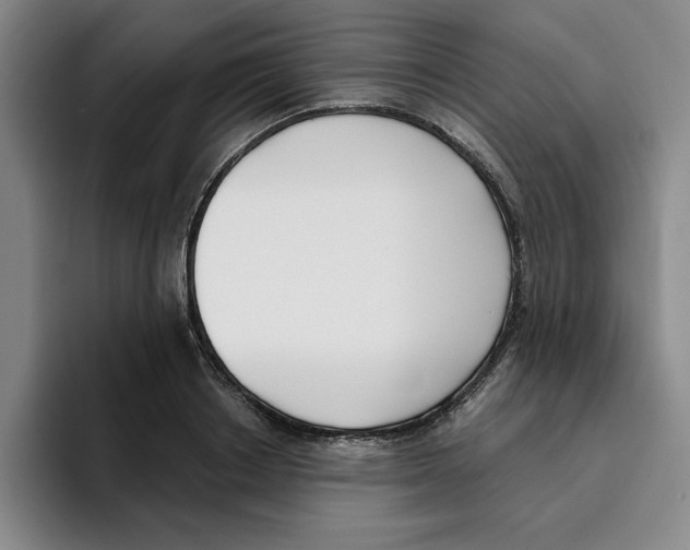 X0000096150842200802151353