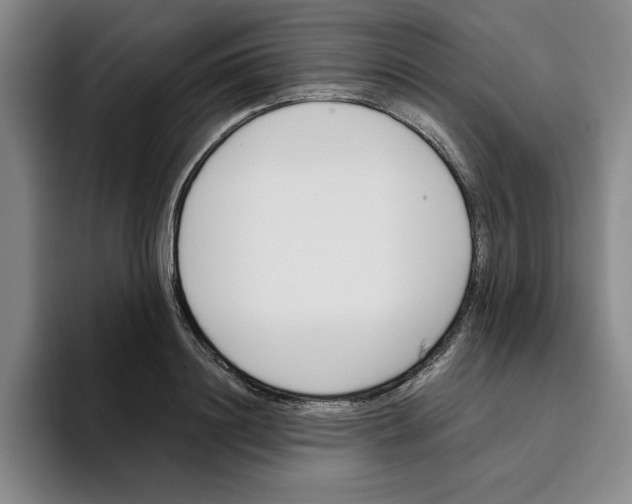 X0000096150844200802151353