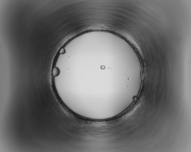 X0000096150845200802151353