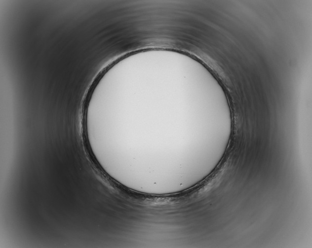 X0000096150846200802151353