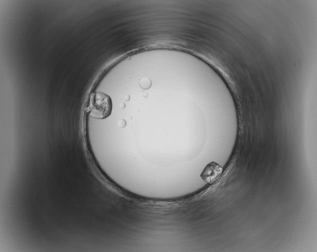 X0000096150848200802151353