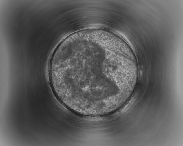 X0000096150851200802151353