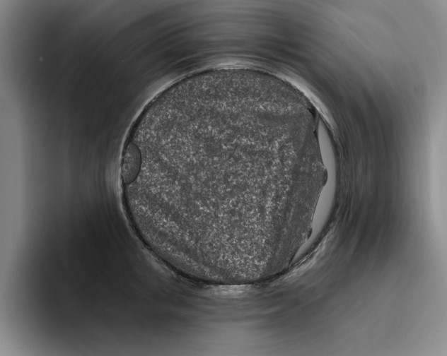 X0000096150853200802151353