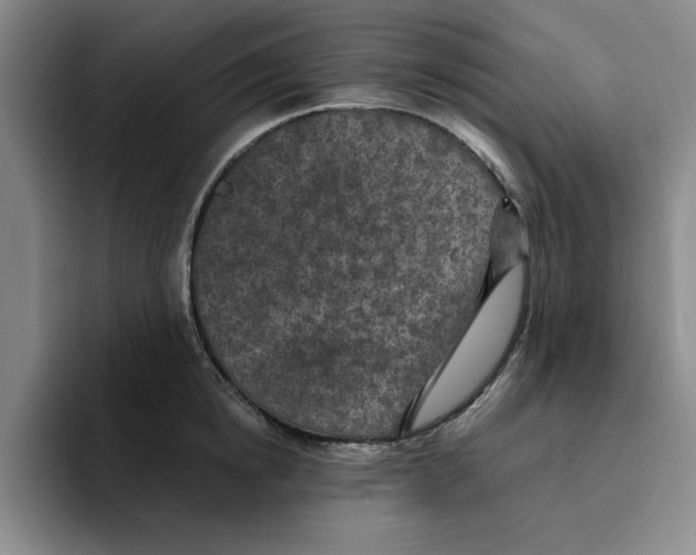 X0000096150854200802151353