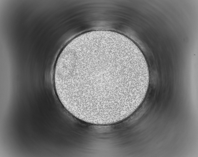 X0000096150856200802151353