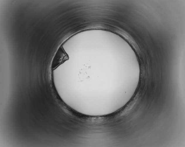 X0000096150858200802151353