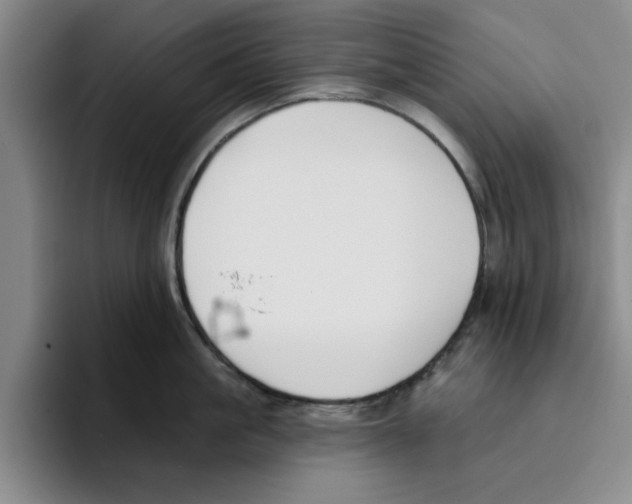 X0000096150861200802151353