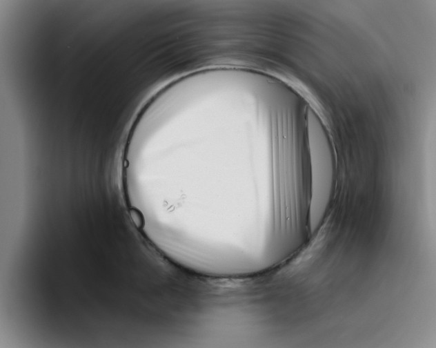 X0000096150862200802151353