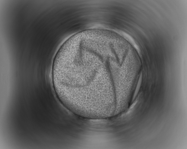 X0000096150863200802151353