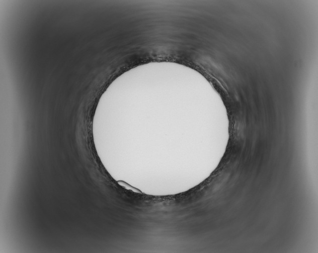 X0000096150865200802151352