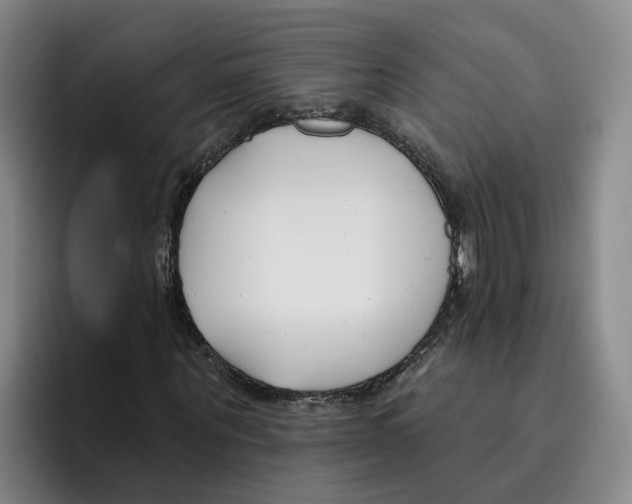 X0000096150867200802151352