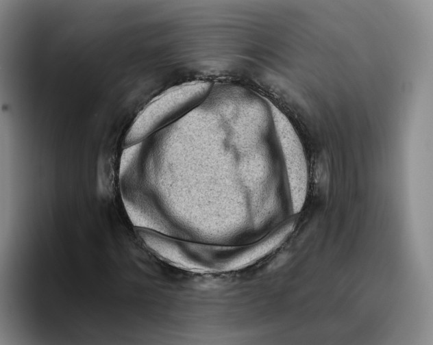 X0000096150868200802151352