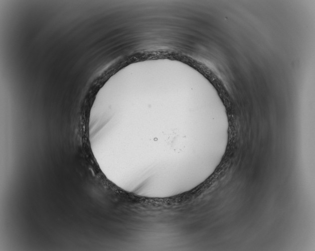 X0000096150871200802151352