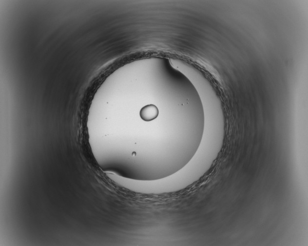 X0000096150872200802151352