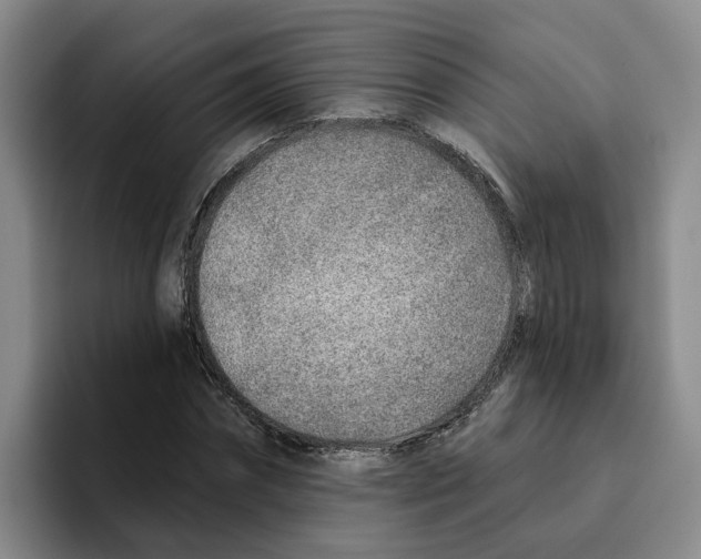 X0000096150874200802151352