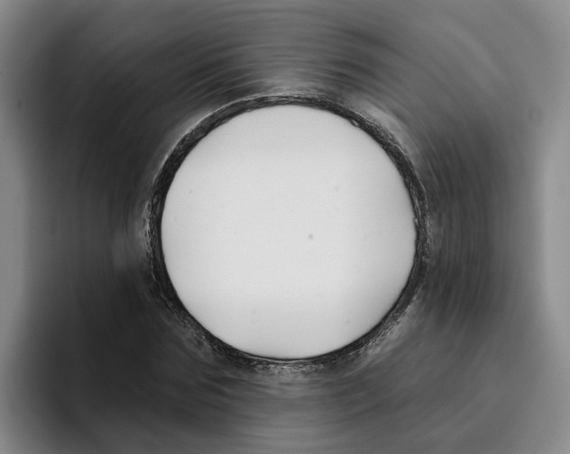 X0000096150875200802151352