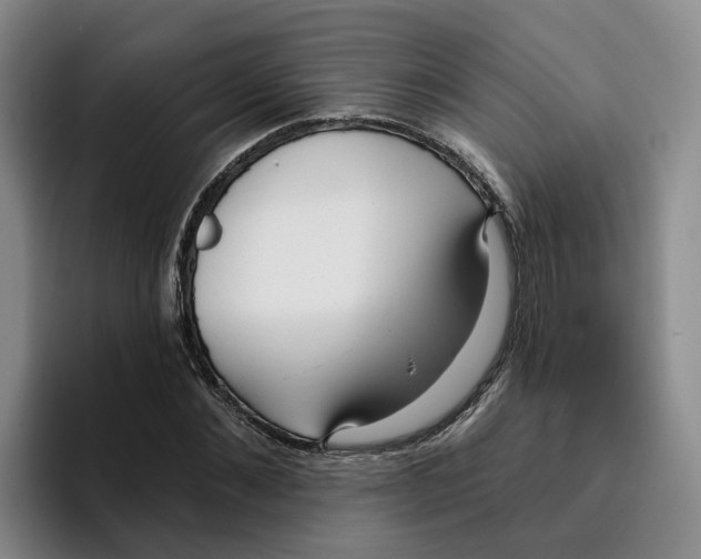 X0000096150876200802151352